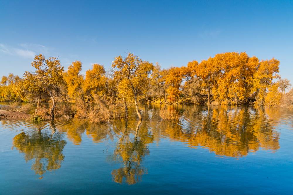 7-Day Northwest Silk Road Poplar Forest Train Journey: Xining-Kashgar Round Trip | Discover Kumbum Monastery, Baisha Lake and Kashgar Ancient City | Includes Pro Photographer & 24h Transfers