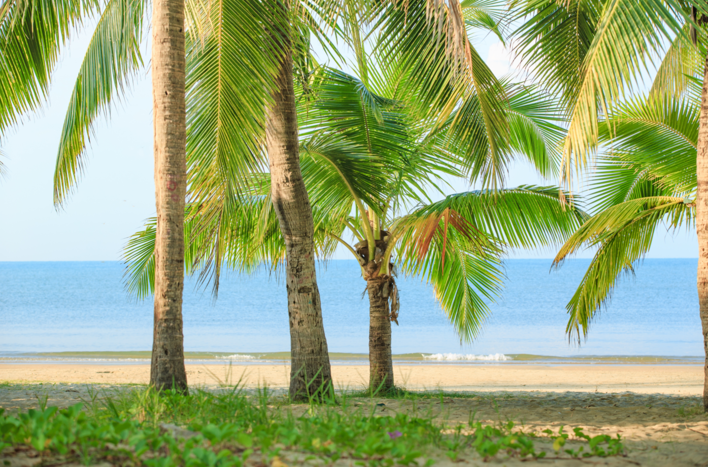 Indulge in a 4-Day Sanya Cultural Experience Private Tour: Explore Luhuitou Park, a Vibrant Local Market, and Optional Nature Excursions