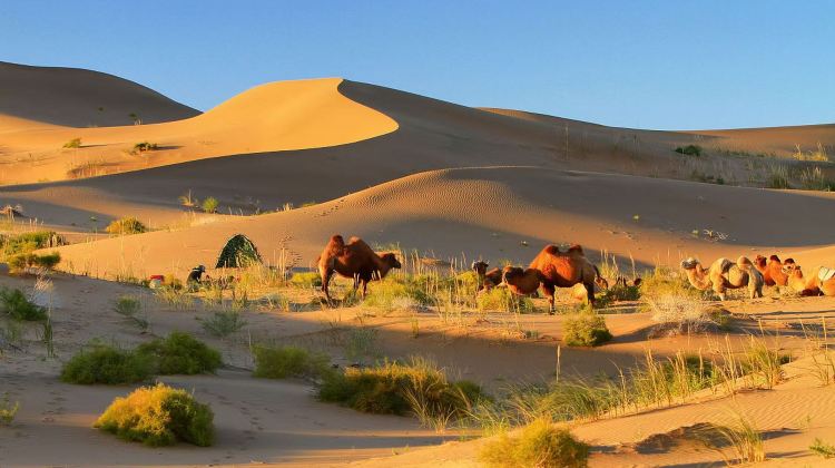 Set Out on a 3-Day Private Tour of Northwest China: Discover Badain Jaran Desert and Zhangye
