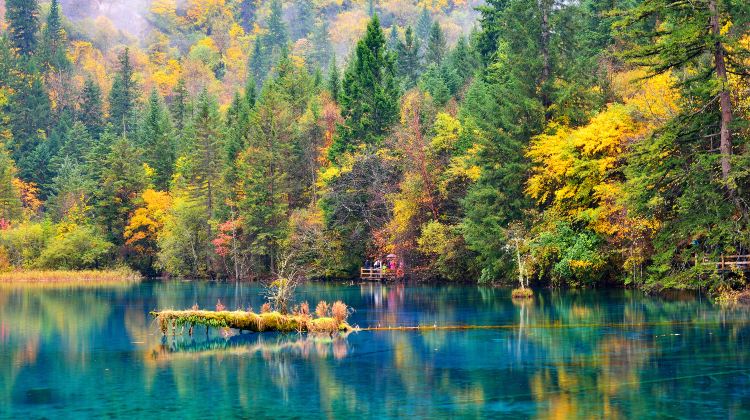 Experience a 3-Day Private Sichuan Journey from Chengdu: Chengdu Panda Base, Jiuzhaigou & Huanglong Scenic Area