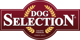 Dog Selection
