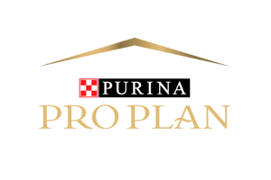 Pro Plan