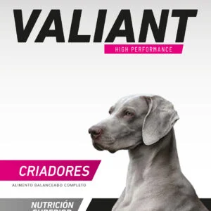 Valiant