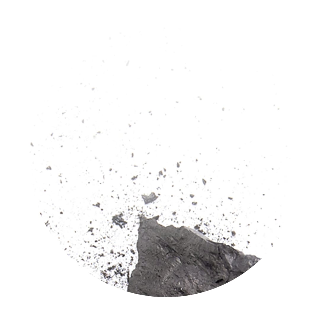 charbon biochar
