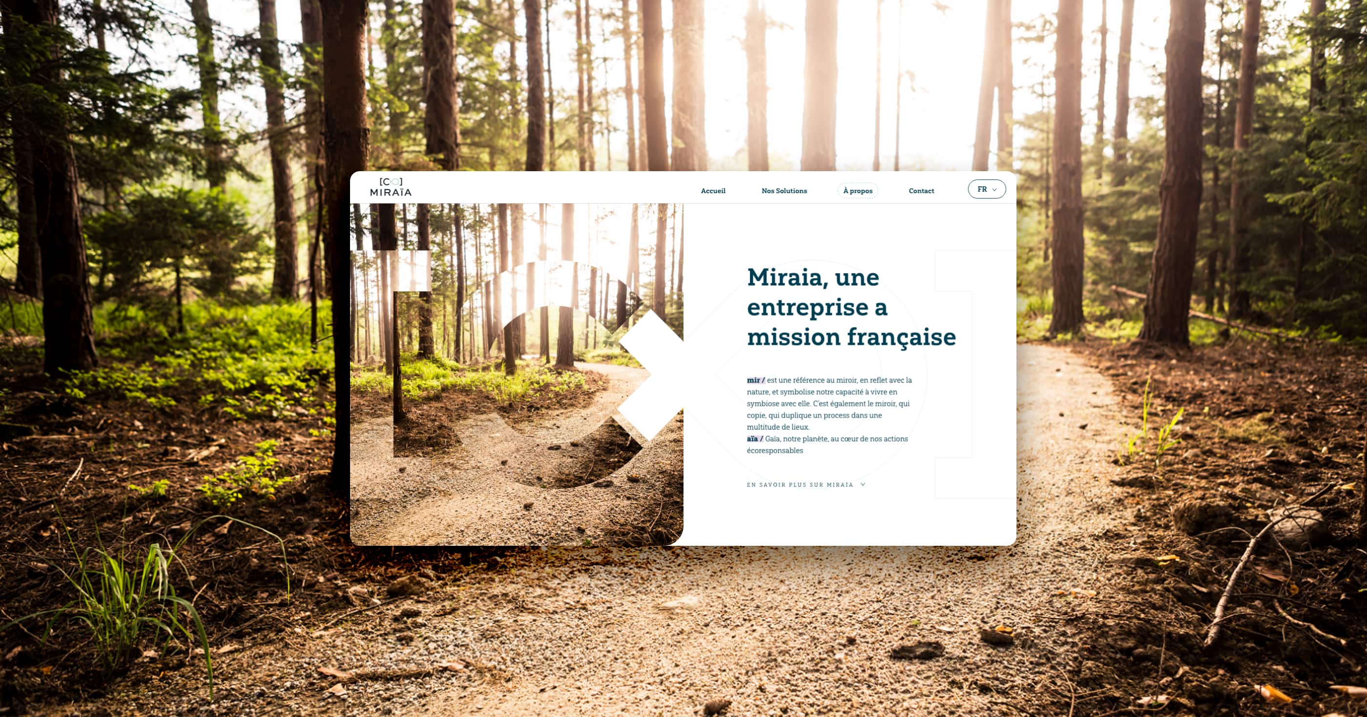 Design web d'un site de la tech française