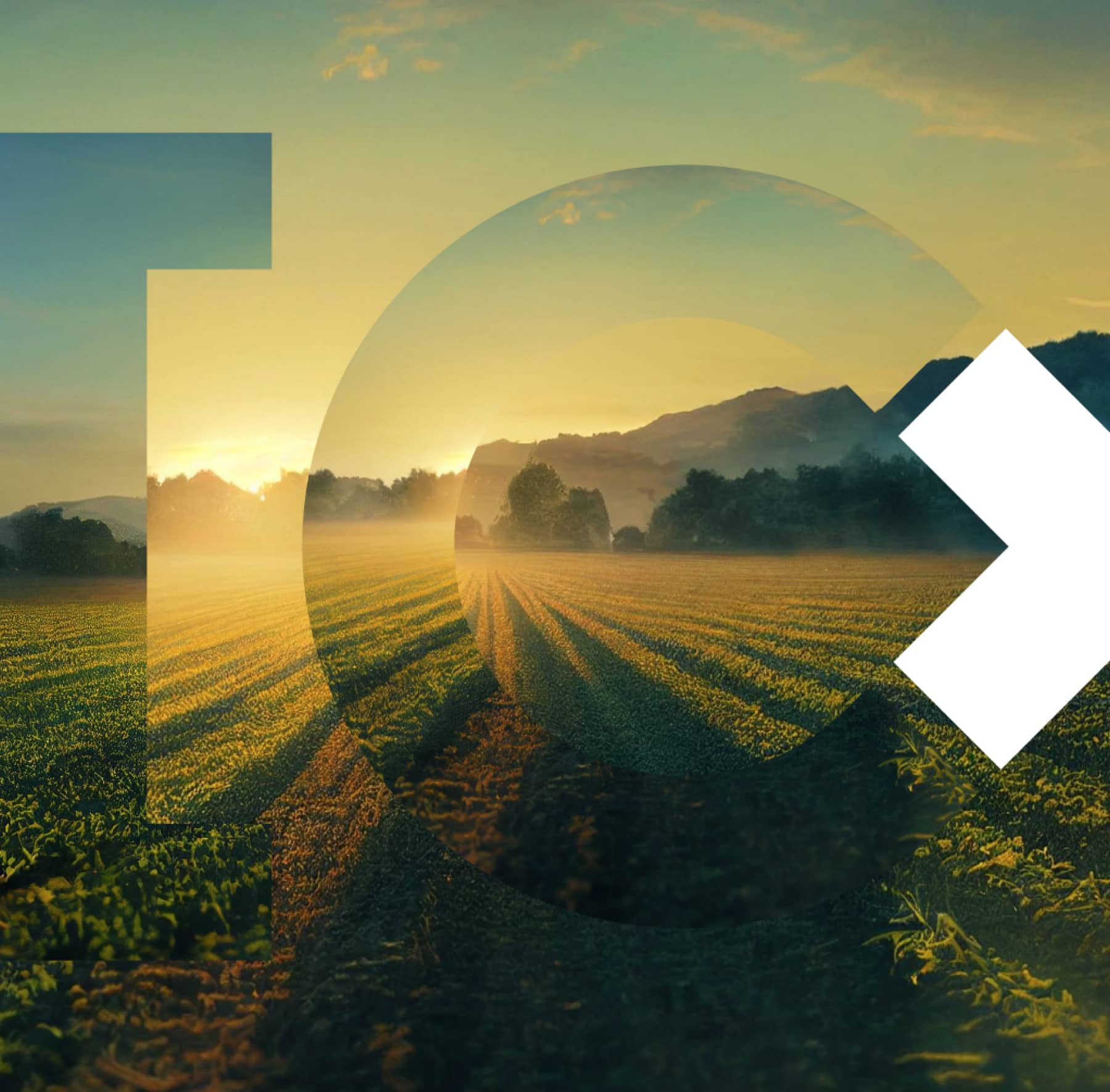 Création du principe graphique de décalage