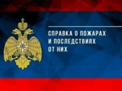 За два месяца на пожарах в Псковской области погибло 12 человек