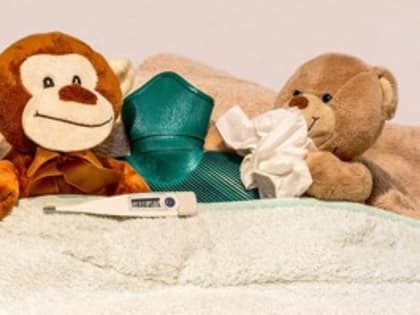 Школа, 29 классов и 5 групп в детских садах закрыты на карантин в Псковской области