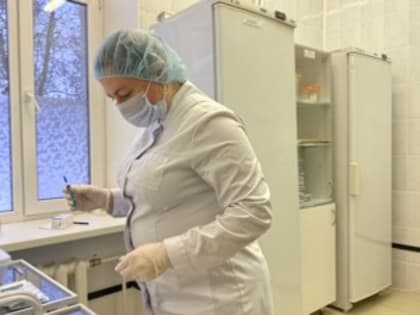 Вакцинация от гриппа в Великолукском районе