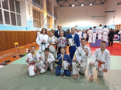 В Великих Луках прошел Новогодний турнир по дзюдо на призы Деда Мороза