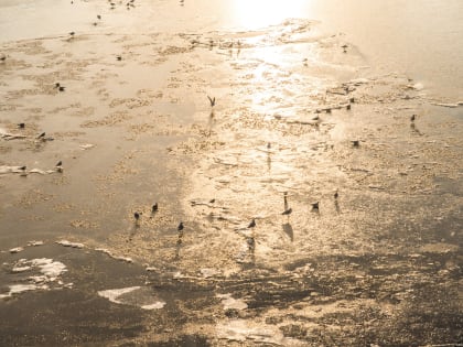 Стало известно, когда в Псковскую область придёт похолодание