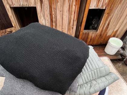 Одежду для детей и лежанки для животных изготовили студенты и преподаватели ПсковГУ