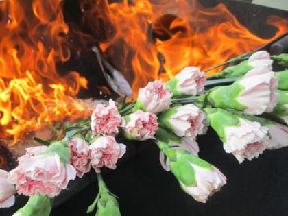 Более 175 тысяч заражённых цветов выявили в Псковской области с начала года