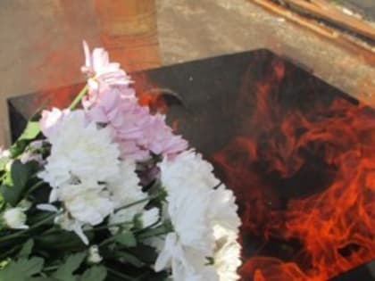 В Псковской области будут уничтожены зараженные карантинным заболеванием хризантемы