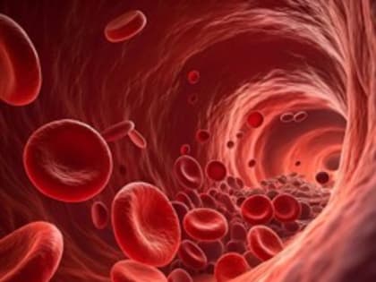 Эксперты рассказали о повышающем риск гипертонии факторе