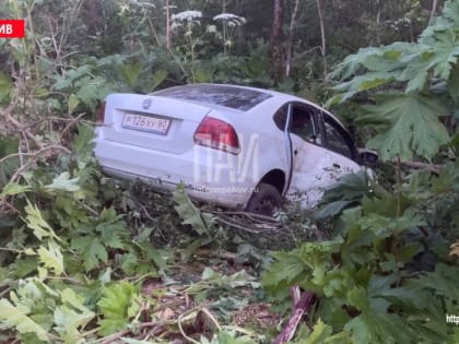 Водитель и пассажир госпитализированы в результате съезда автомобиля в кювет в Псковском районе