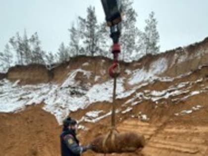 В Идрице найдены авиабомбы времен Второй мировой войны