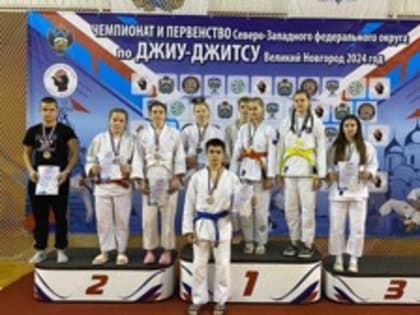 Великолучане завоевали 13 медалей на чемпионате СЗФО по джиу-джитсу