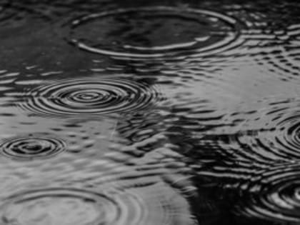 Январская весна: Какая погода ожидает жителей Псковской области в четверг