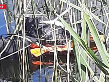 Найдены сапоги и спасательный жилет пропавшего в Пустошкинском районе рыбака