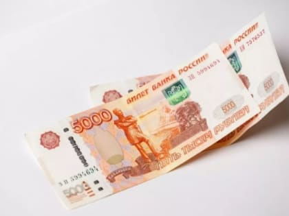 Каждый второй пскович использовал возможность получения налогового вычета ‑ исследование