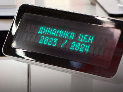 Динамика цен 2023/2024. ИНФОГРАФИКА