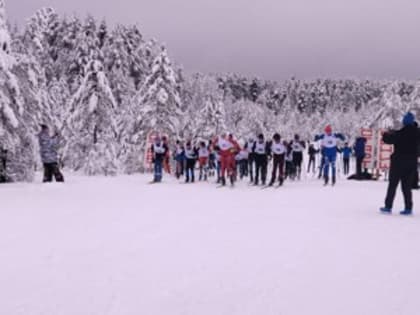 Великолучане заняли призовые места на соревнованиях по лыжным гонкам