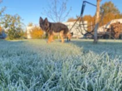 Завтра в Псковской области температура воздуха опустится до минус 5 градусов