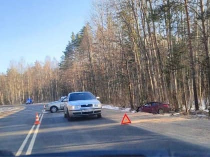 Два человека пострадали в ДТП в Палкинском районе