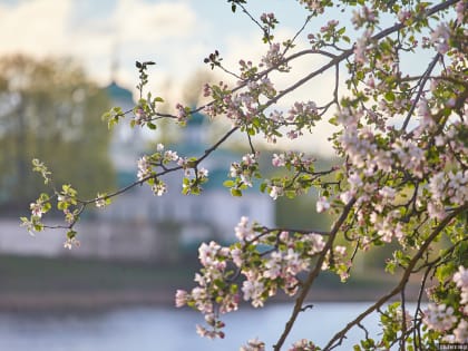 Прогноз на май: ждать ли летней погоды в Псковской области