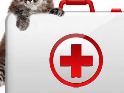 В Великих Луках откроется новая ветеринарная аптека