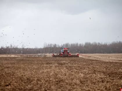 Россия и Белоруссия будут совместно готовить аграриев для Союзного государства