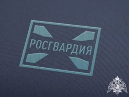 В Росгвардии рассказали о действиях в случае утраты гражданского оружия