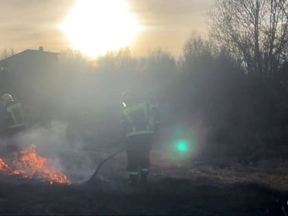 Внимание: на территории Великолукского и Новосокольнического районов введён особый противопожарный режим