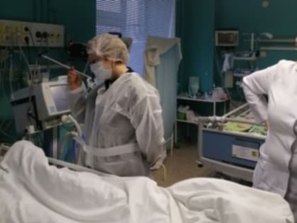 Стало известно о состоянии детей, пострадавших после столкновения школьного автобуса и фуры