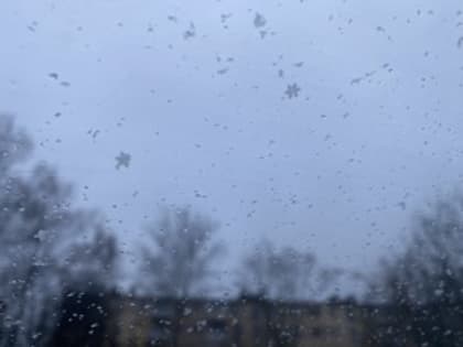 23 декабря в Псковской области синоптики прогнозируют мокрый снег