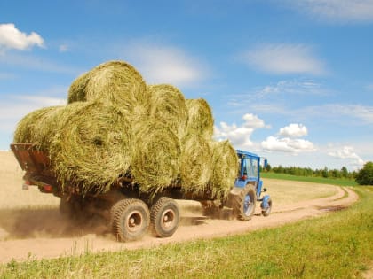 Развитие сельского хозяйства в России