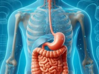 Названы продукты для профилактики рака кишечника