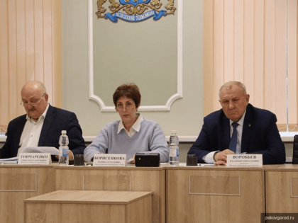Заседание комитета по ЖКХ и благоустройству состоялось в городской Думе