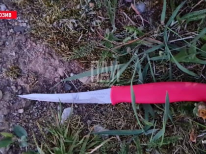 Пьяный мужчина ударил ножом своего собутыльника в Плюсском районе