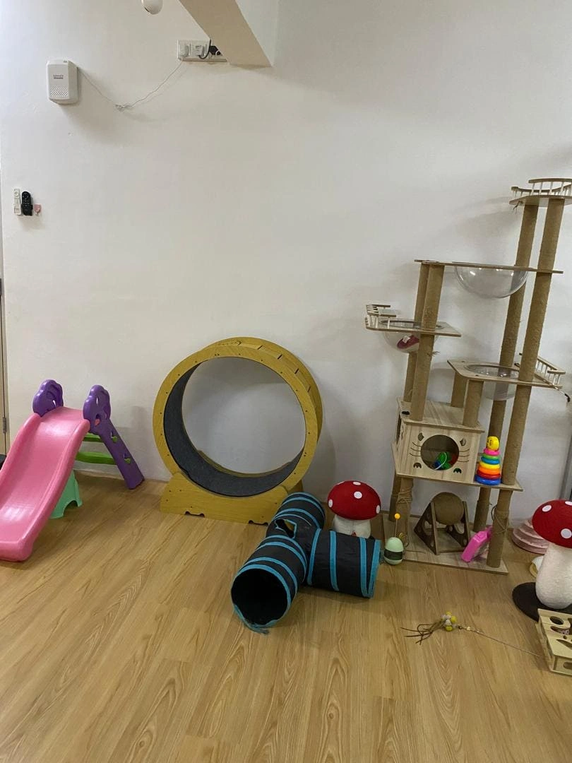 Cat 7