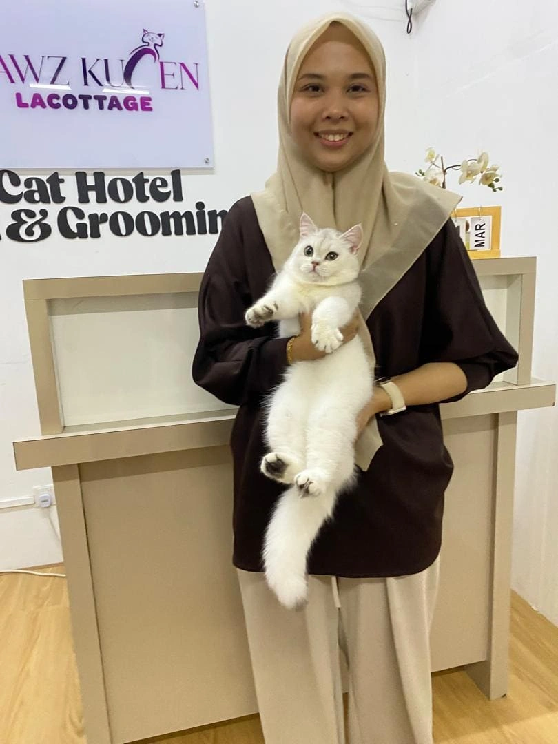 Cat 9