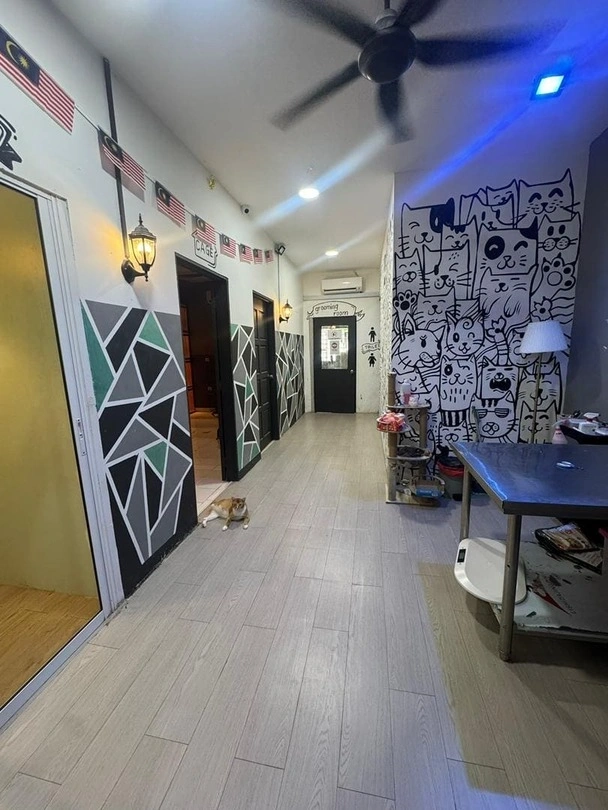 KatzGroomer Gallery 6
