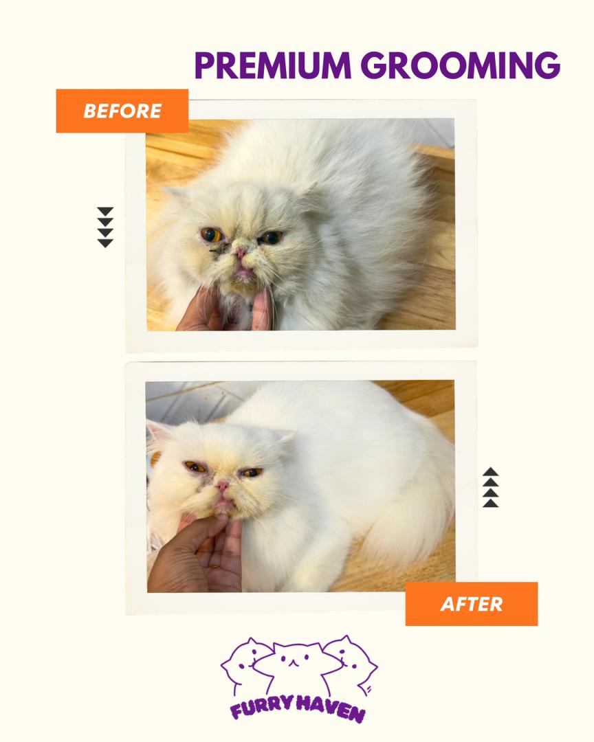 Premium Grooming Results