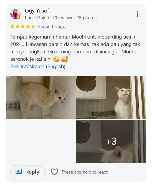 Customer Feedback 4