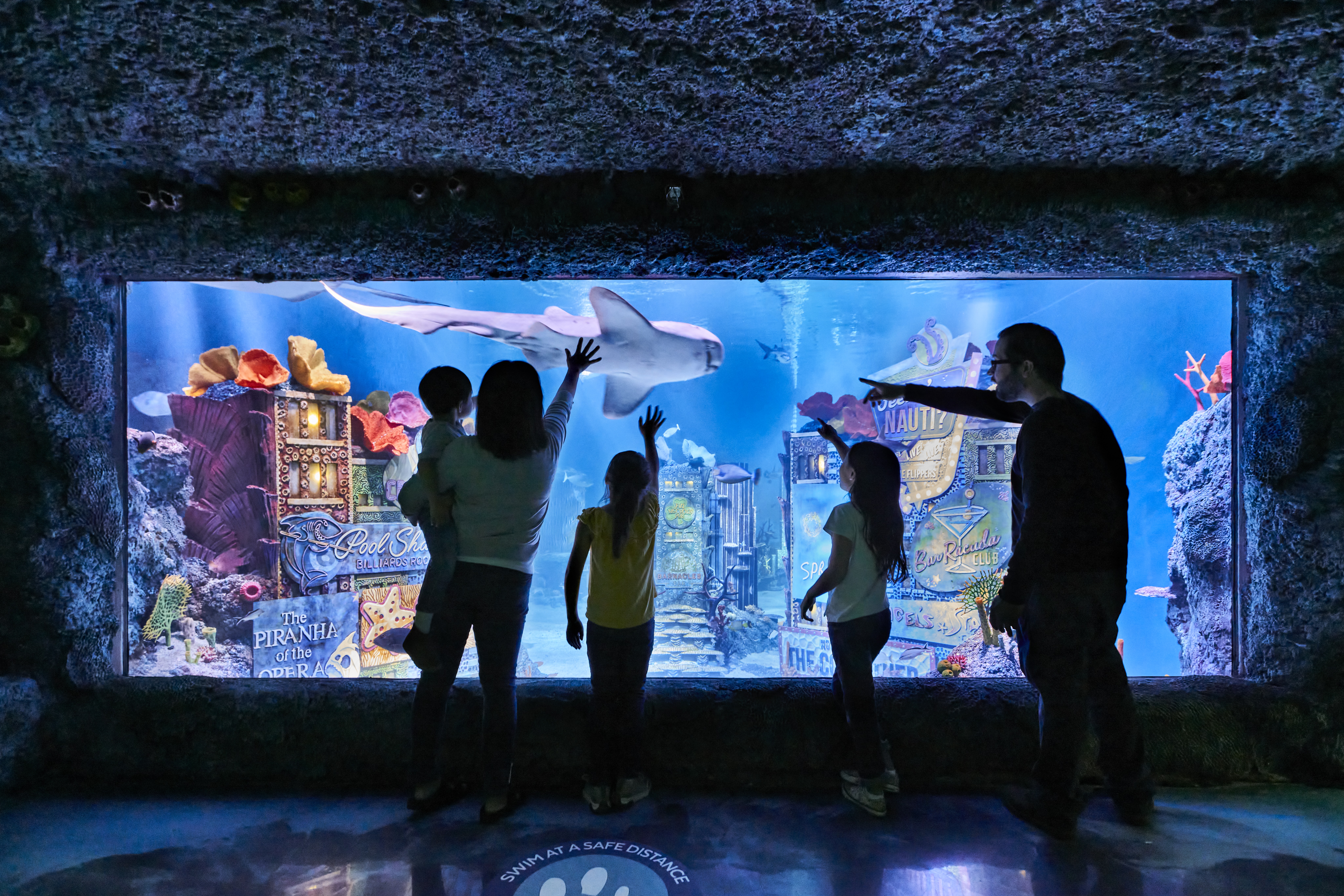 新泽西海洋生物水族馆