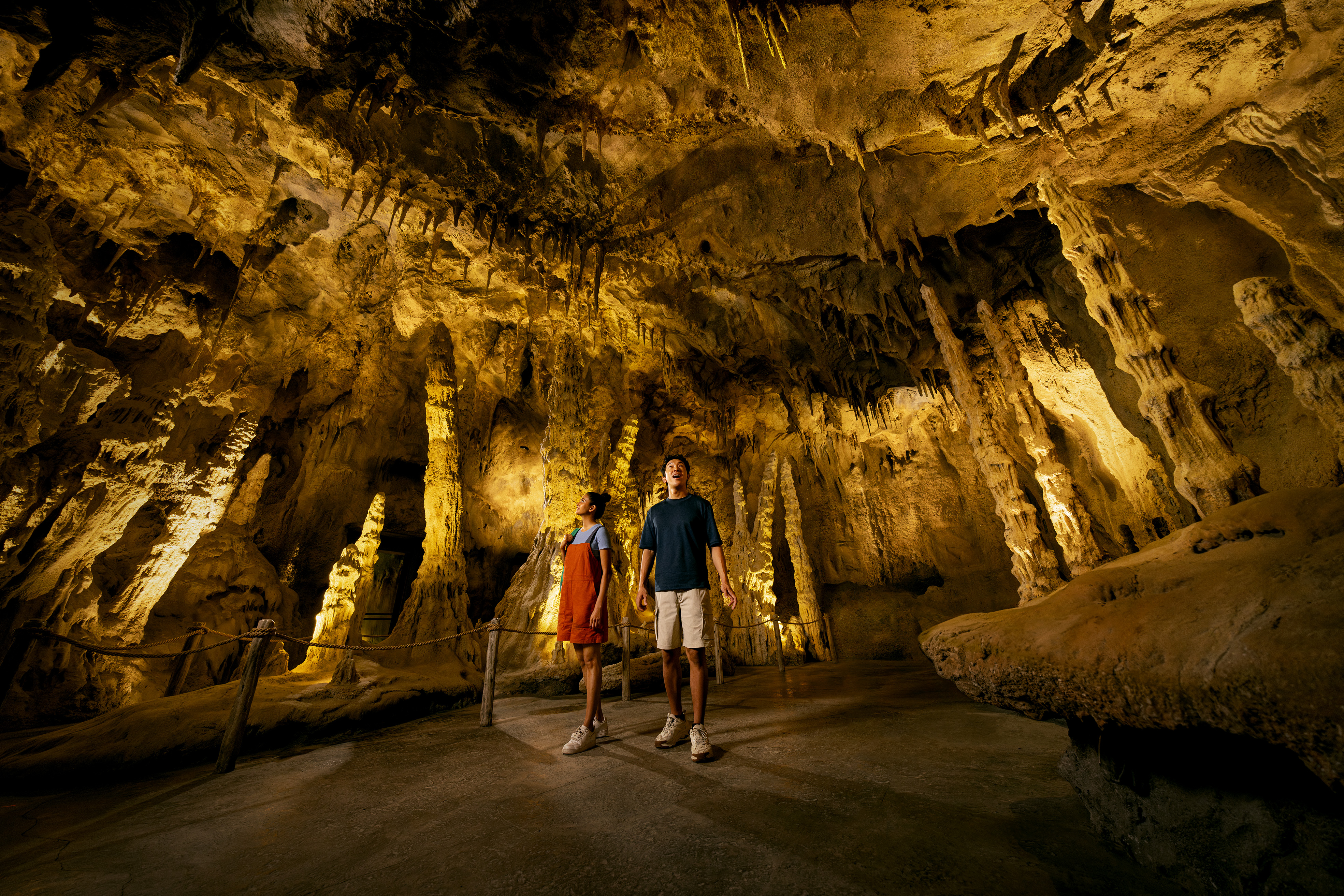 雨林亚洲区入场券｜万态野生动物保护区
