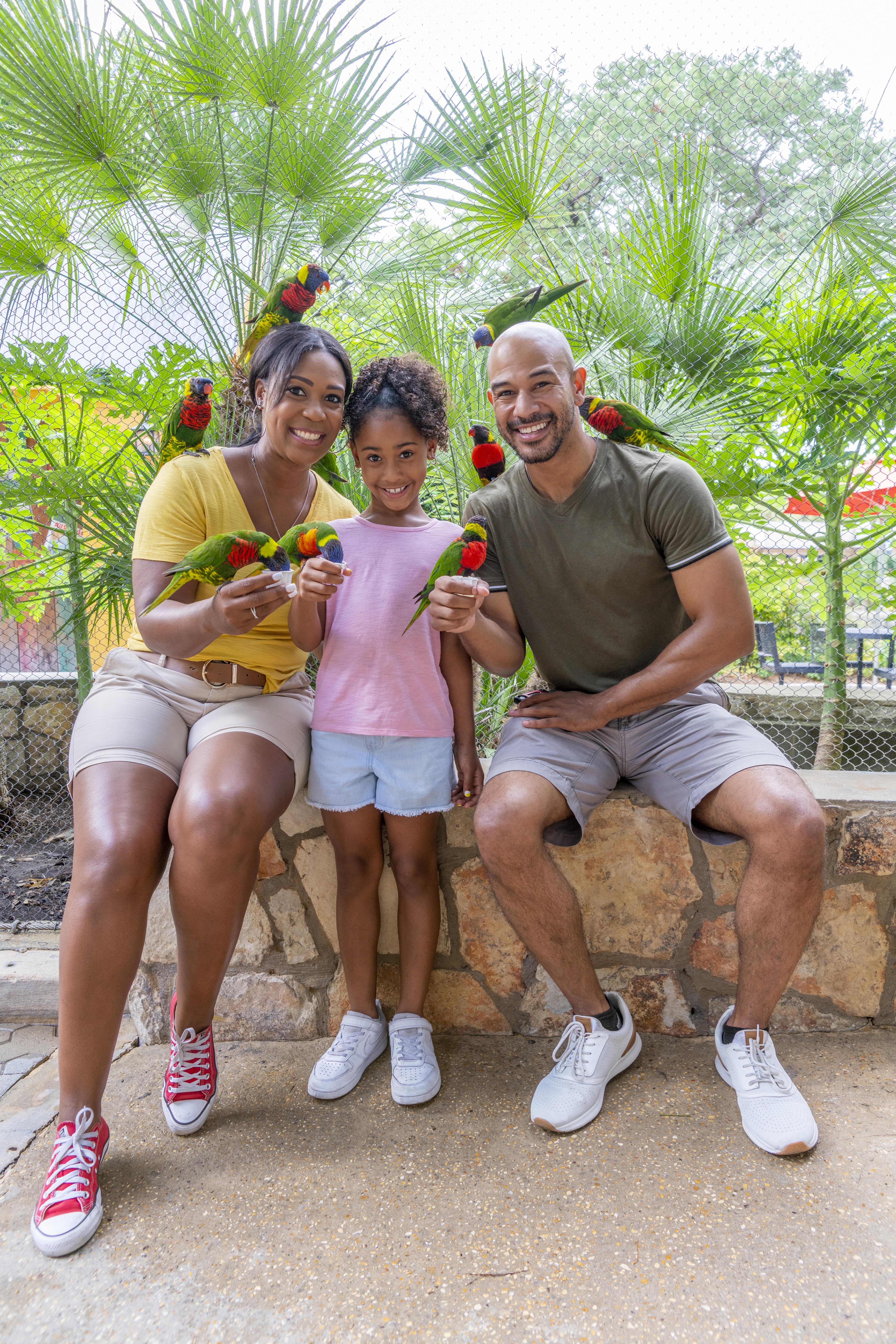 Go City | Official Website | Save Up To 65% on Attractions