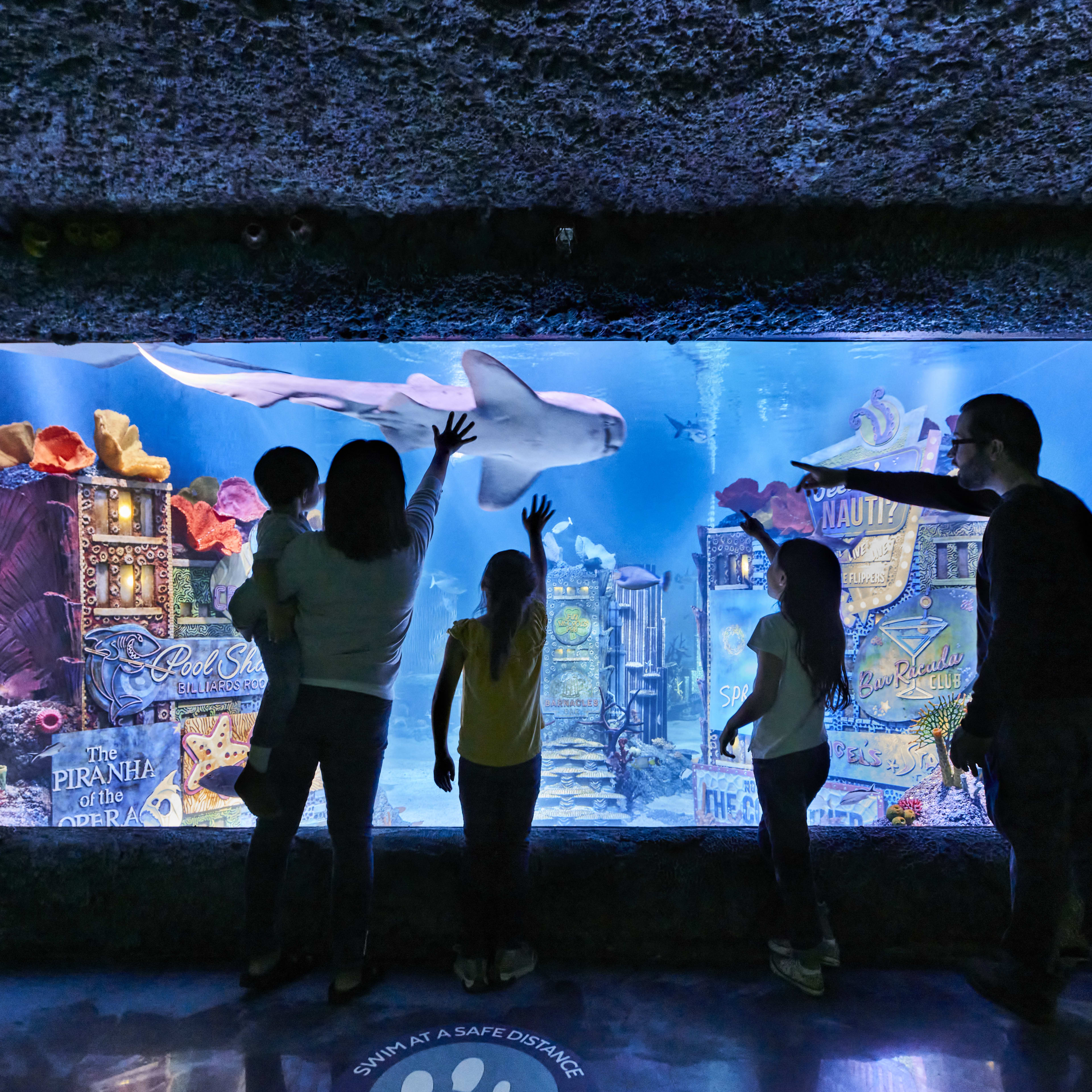 SEA LIFE Aquarium NJ Tickets - Free w/ New York Pass®