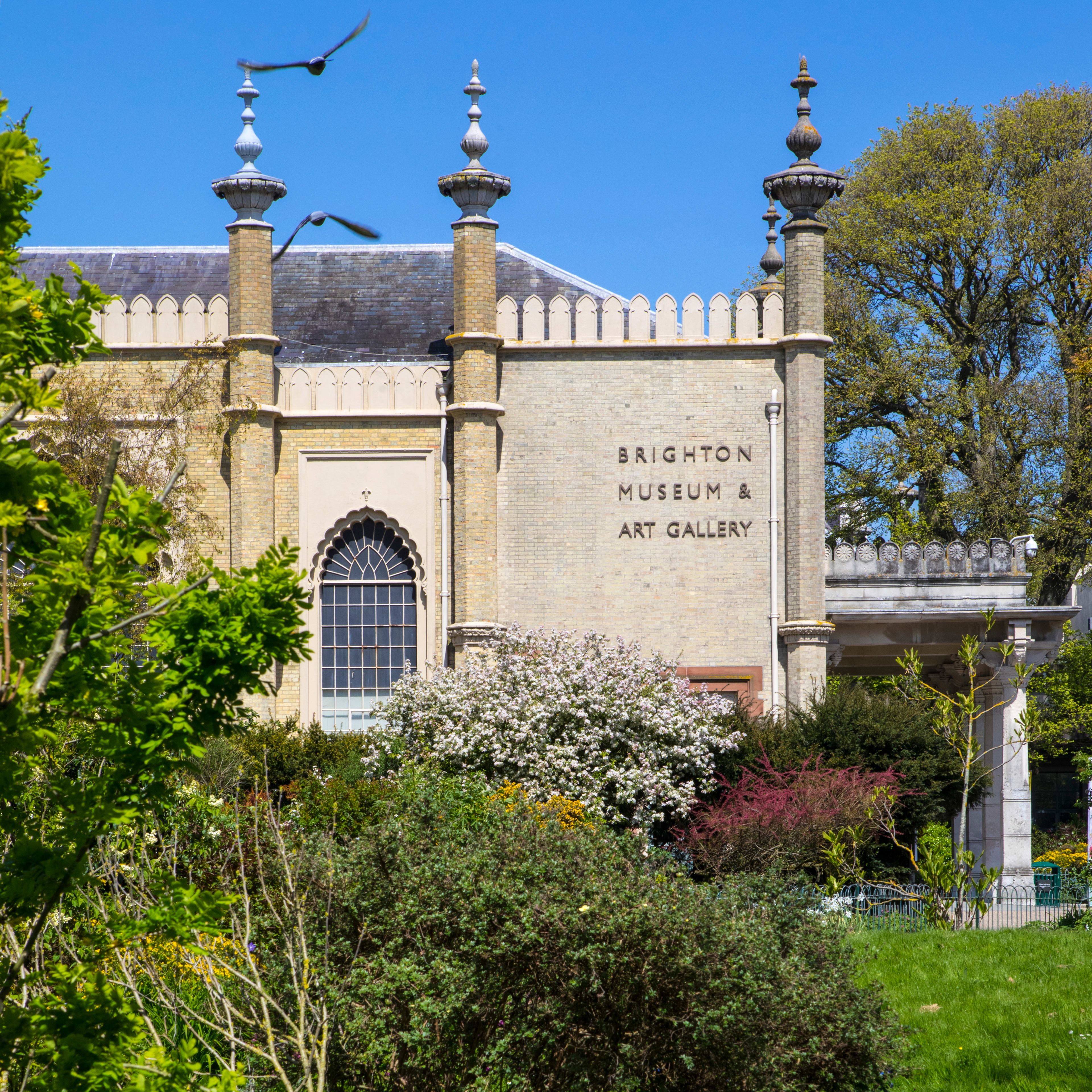 Brighton Museum & Art Gallery